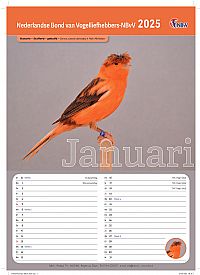 Kalender 2025 1 stuks